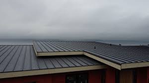 Best Roof Coating and Sealing  in Troup, TX